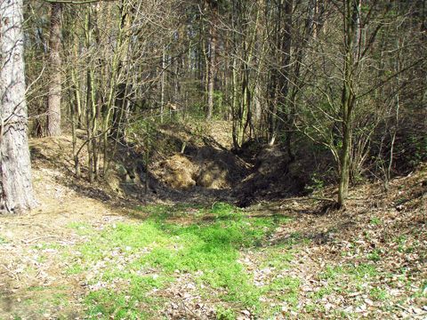 Foto 21